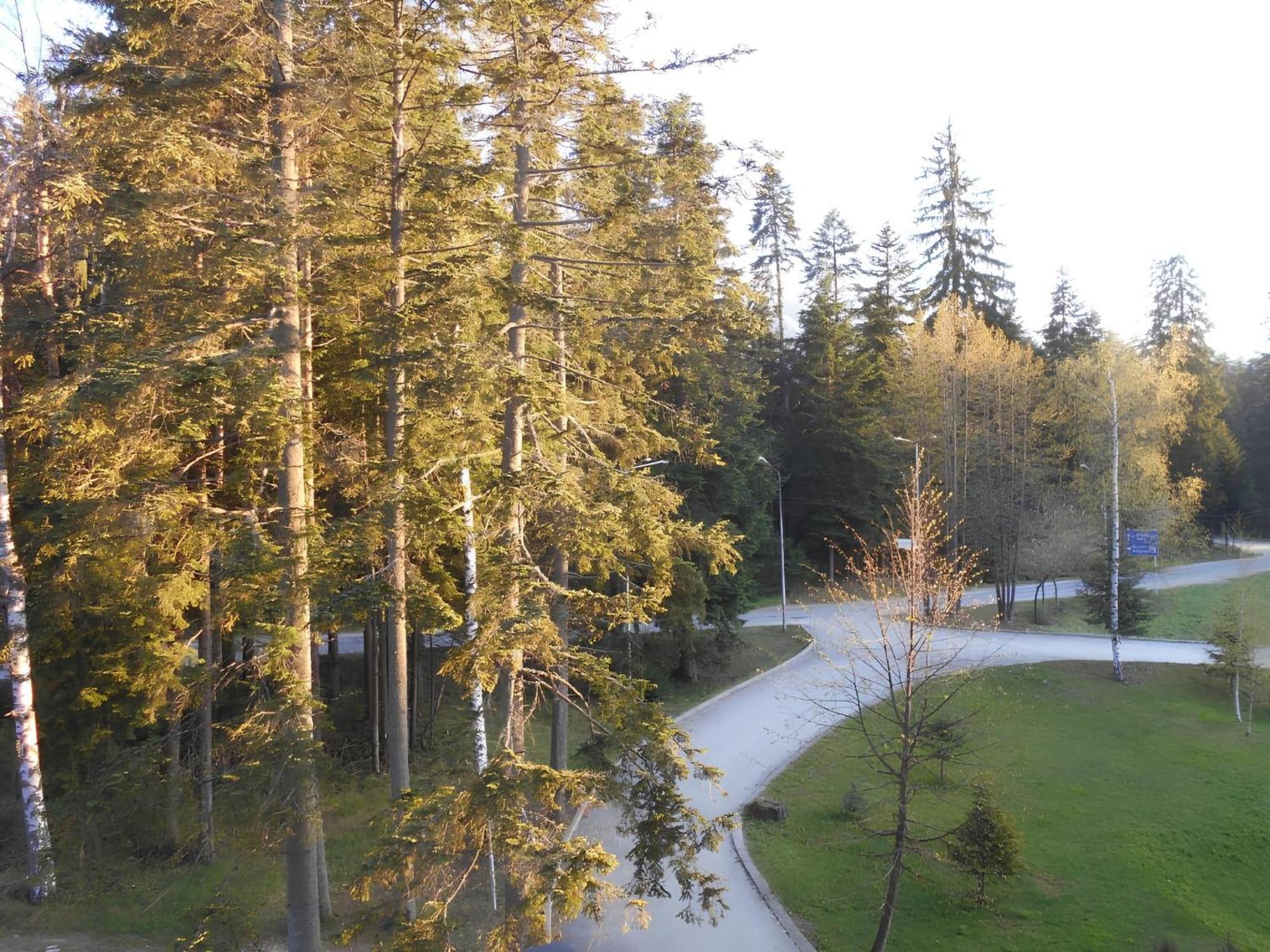 Neat Studios In "Borovets Gardens" Hotel Екстер'єр фото